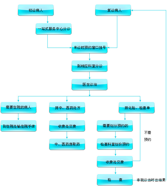 就医流程(图1)